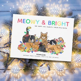 Small Funny Cats & Chickens Christmas Photo Holiday Invitations Front View