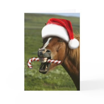 funny christmas horse with santa hat smiling invitations