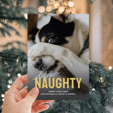 funny define naughty pet christmas holiday invitations