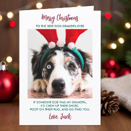 Small Funny Dog Christmas Granddog Custom Pet Photo Holiday Invitations Front View