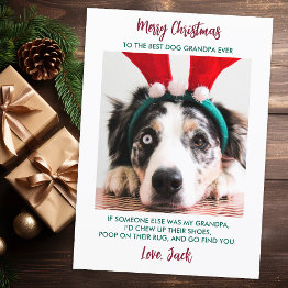 Small Funny Dog Christmas Grandparent Custom Pet Photo Holiday Invitations Front View