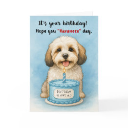 Small Funny Havanese Dog Birthday With Custom Name Age Invitations Front View