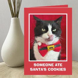 Small Funny Tuxedo Cat Christmas Invitations Front View