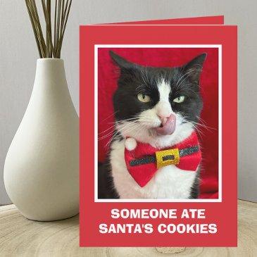 funny tuxedo cat christmas invitations