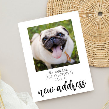 funny we have moved new address dog pet photo postinvitations