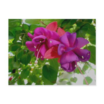 fuschia postinvitations