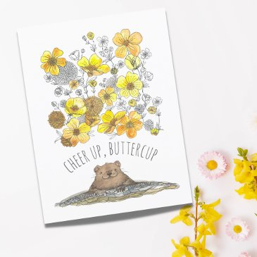 get well groundhog cheer up, buttercups watercolor postinvitations