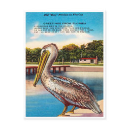 Small Greetings From Florida, Old Bill Pelican Florida Postinvitations Front View