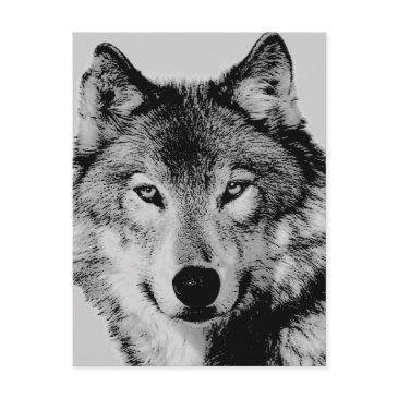 grey wolf eyes postinvitations