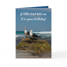 Small Gull Bird Secluded Beach In Paradise Birthday Invitations Front View