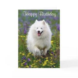 Small Happy Birthday American Eskimo Greeting Invitations Front View
