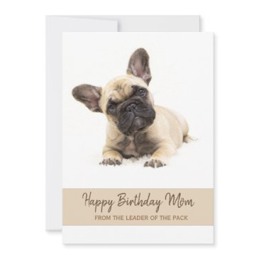 happy birthday mom french bulldog photo holiday invitations