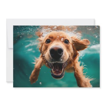 happy golden retriever swimming underwater invitations