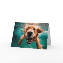 Small Happy Golden Retriever Swimming Underwater Invitations Front View