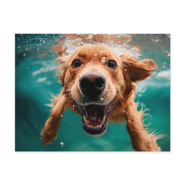 happy golden retriever swimming underwater postinvitations