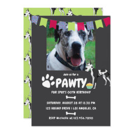 Small Harlequin Great Dane Birthday Photo Invitation Front View