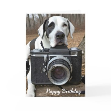 harlequin great dane with camera invitations
