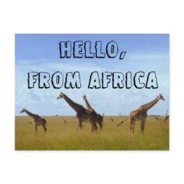 Small Hello With Love From Africa Hakuna Matata Postinvitations Front View