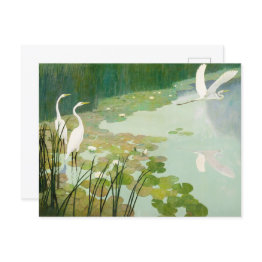 Small Herons In Summer By Newell Convers Wyeth Invitation Postinvitations Front View