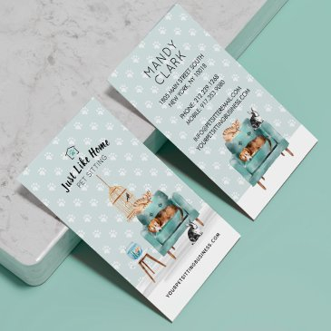home pet sitting dog & cat sleeping on green sofa business invitations