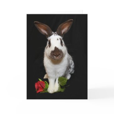 "hoppy valentine's day!" holiday invitations