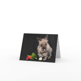 Small Hoppy Valentine's Day Holiday Invitations Front View