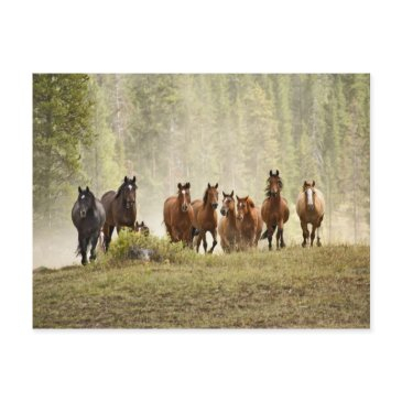 horses cresting small hill during roundup, postinvitations