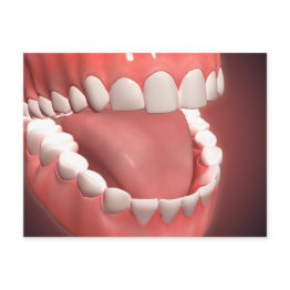 Small Human Mouth Open, Showing Teeth, Gums And Tongue Postinvitations Front View
