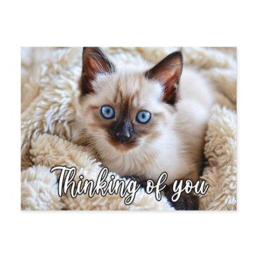 i miss you - cute siamese cat postinvitations
