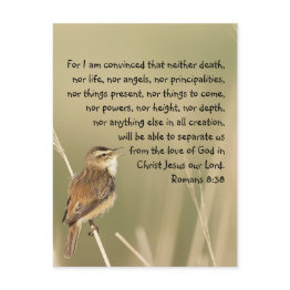 Small Inspirational Bible Scripture Quote Romans 8:38 Postinvitations Front View