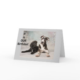 Small It Is "our" Birthday-great Day! Twin Or Mutual Day Invitations Front View