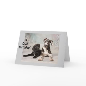 it is "our" birthday-great day! twin or mutual day invitations