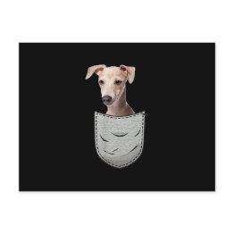 Small Italian Greyhound Whippet Chest Pocket For Dog Own Announcement Postinvitations Front View