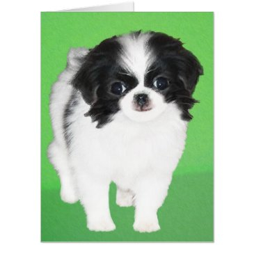 japanese chin puppy painting - original dog art invitations