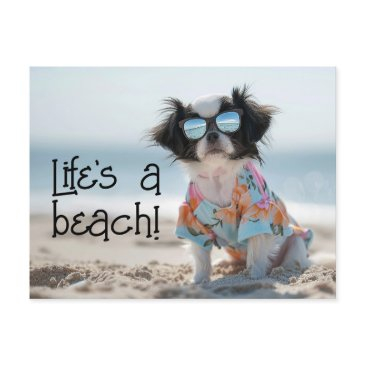 japanese chin puppy wearing sunglasses postinvitations