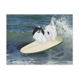 Small Japanese Chin Surfing Postinvitations Front View