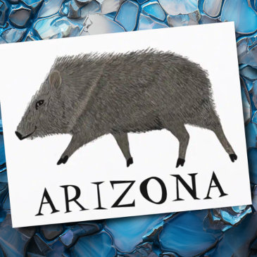 javelina arizona desert wild animal peccary nature postinvitations