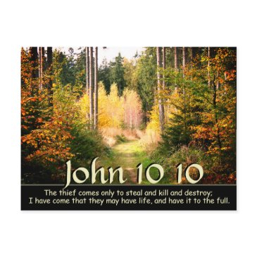 john 10 10 i came that you have life to the full postinvitations