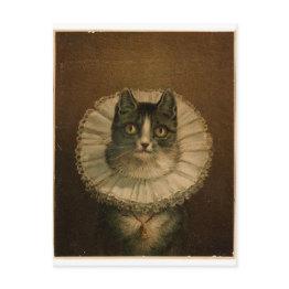 Small Kitten In An Elizabethan Ruff Postinvitations Front View