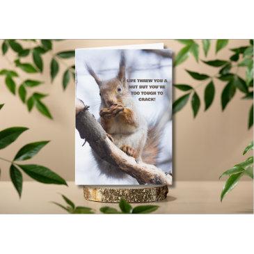 life threw you a nut cute squirrel get well invitations