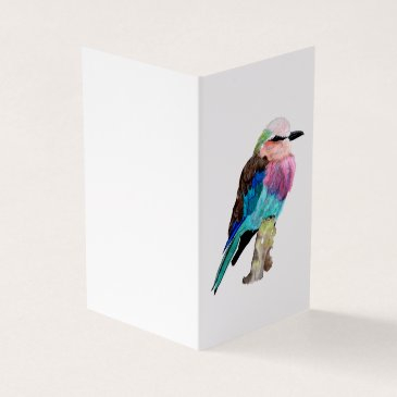 lilac breasted roller bird