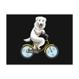 Small Maremmano Abruzzese Sheepdog Dog Bicycle Cyclist Postinvitations Front View