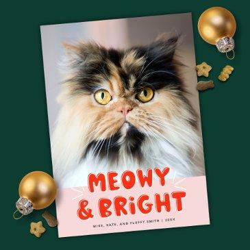 meowy & bright christmas cute cat holiday photo