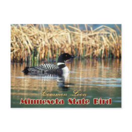 Small Minnesota State Bird - Common Loon Postinvitations Front View