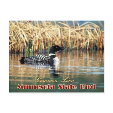 minnesota state bird - common loon postinvitations