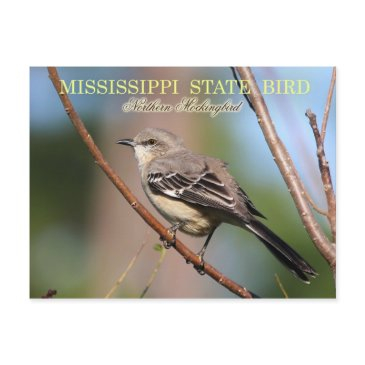mississippi state bird - northern mockingbird postinvitations
