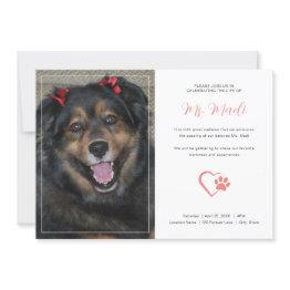 Small Modern Pet Memorial Photo Celebration Invitation Front View