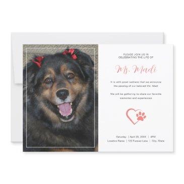 modern pet memorial photo celebration invitation