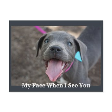 my face when i see you cute puppy postinvitations