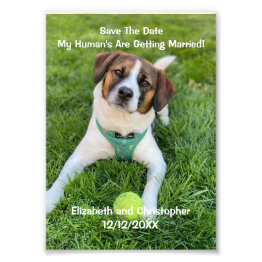 Small My Human's Are Getting Married Engagement Photo Front View